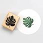 Preview: 5x Stamp | Monstera leaf