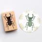 Preview: 5x Stamp | Stag beetle