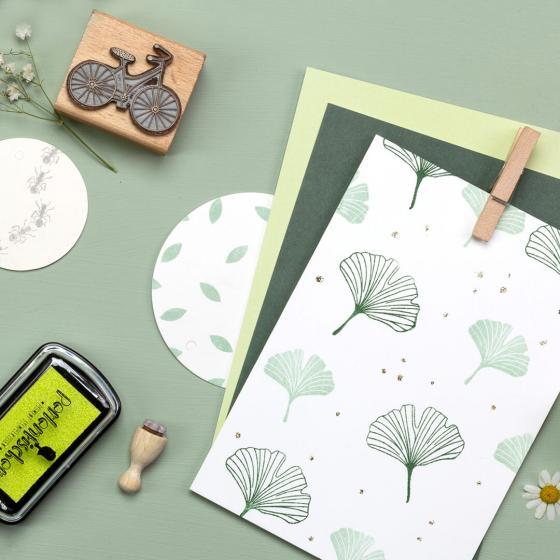 5x Stamp | Ginkgo leaf outline